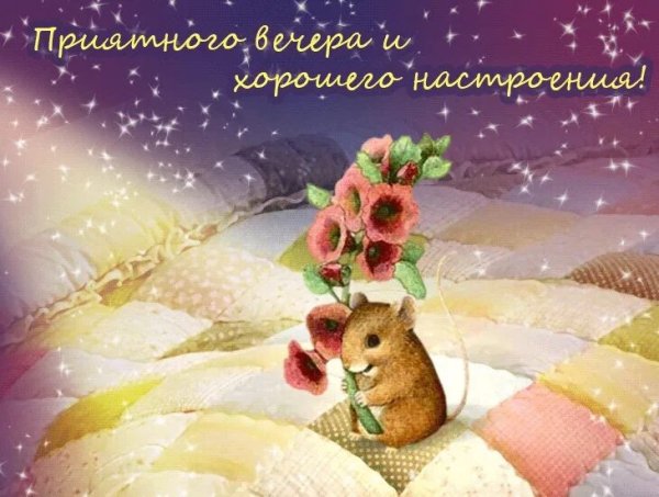 Приятного вечера и отличного настроени