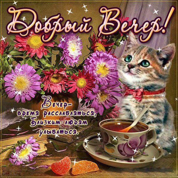 Веселые поздравления с добрым вечером