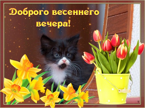 Доброго весеннего вечера