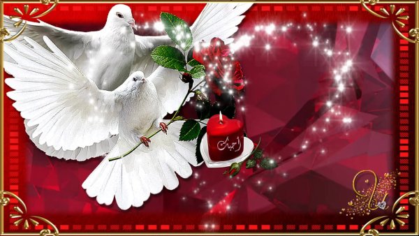 Рубиновая свадьба