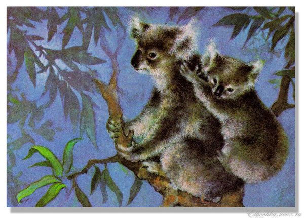 Алексей Исаков художник