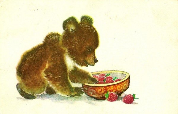 Чарушин Медвежонок с малиной