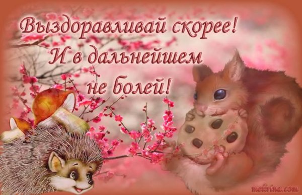 Выздоравливай картинки