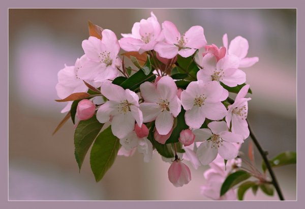 Открытки Слава Богу