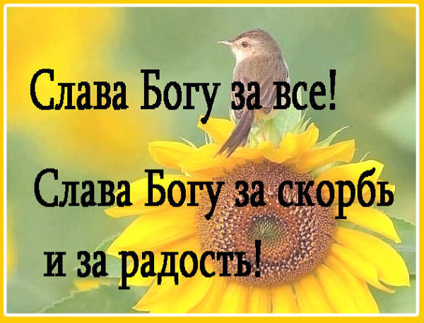 Слава Богу за всё