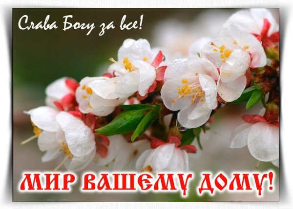 Слава Богу за новый день