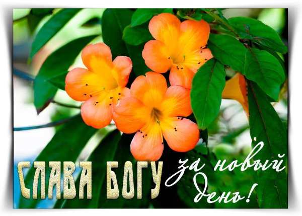 Доброе утро Слава Богу за новый день