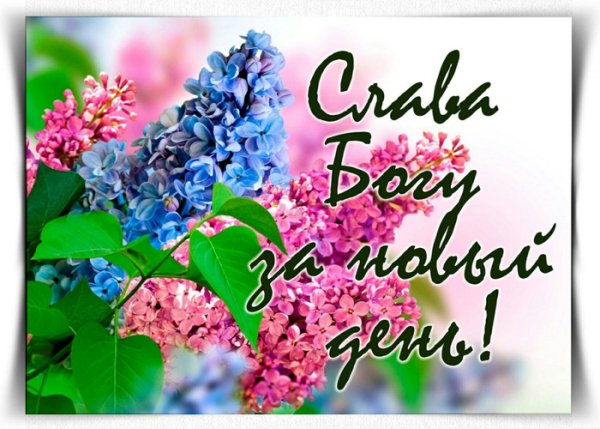 Слава Богу за доброе утро