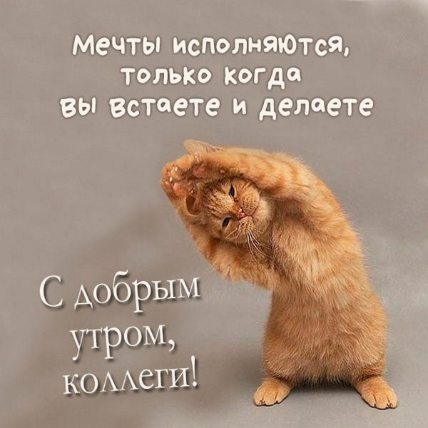 Юморные картинки с добрым утром