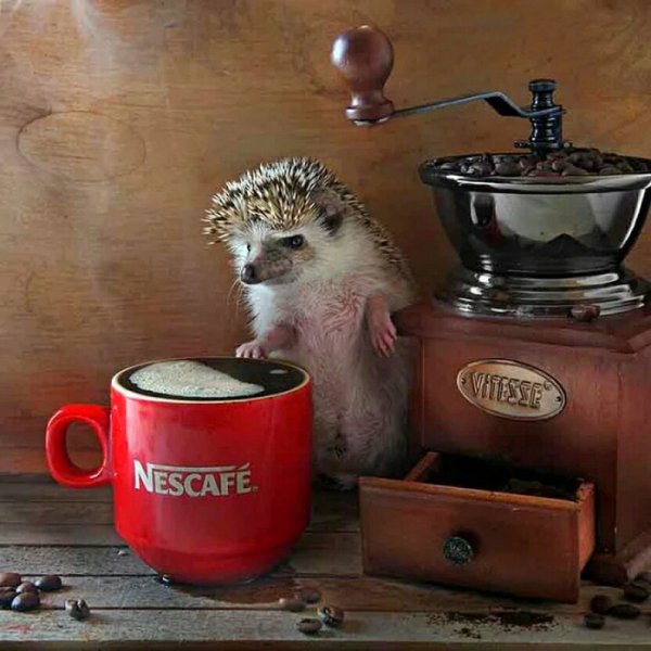 Ежики доброе утро Елена Еремина