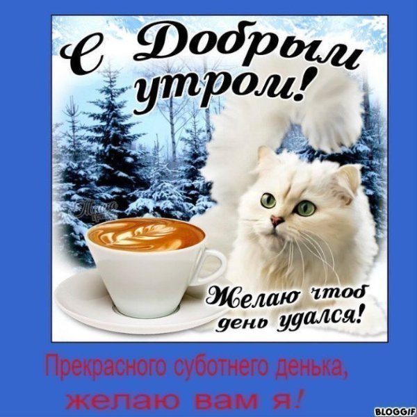 Доброго зимнего утра и хорошего дня