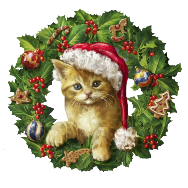 Новогодний котик