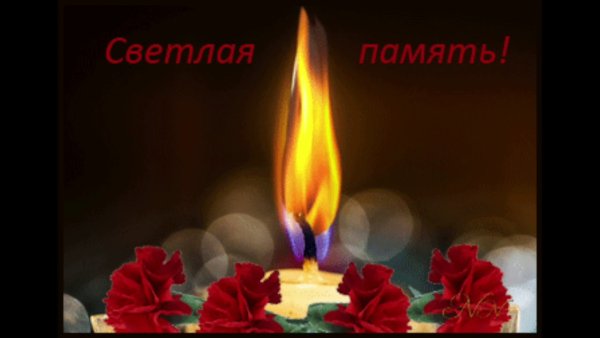 Светлая память героям войны