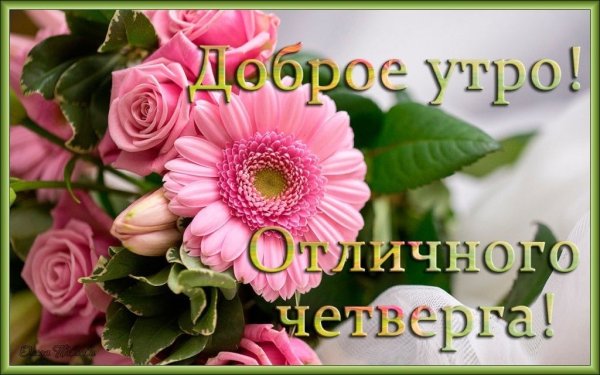 Пожелание удачного четверга