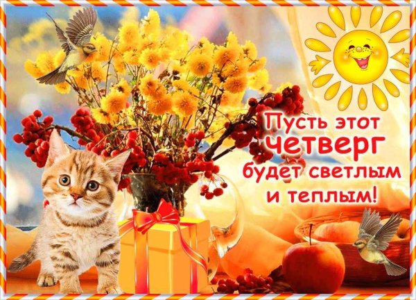 Пожелания на каждый день