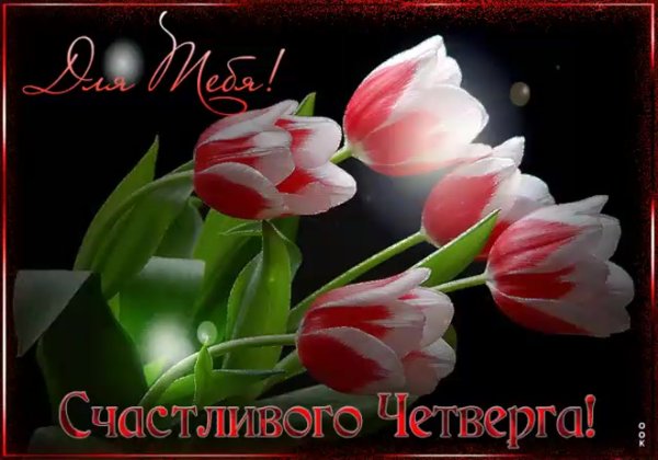 Открытки с пожеланием доброго четверга