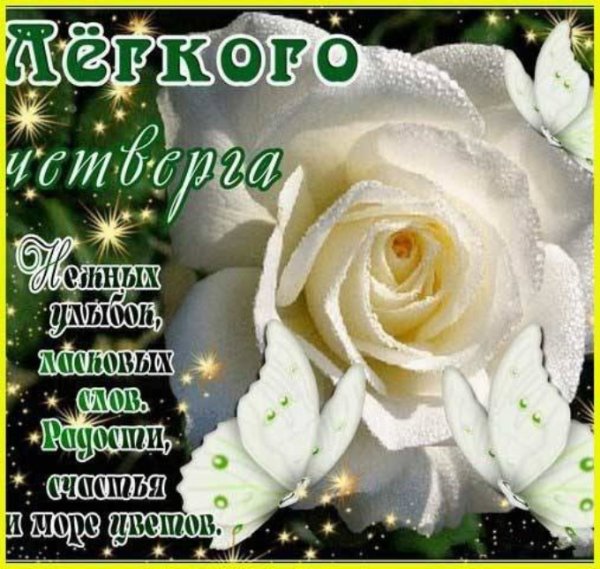 Пожелания с добрым утром четверг