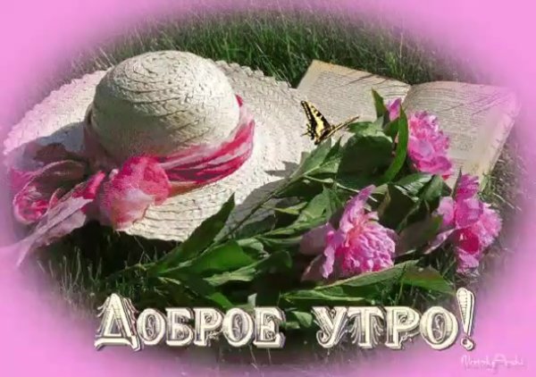 Доброе утро четверга