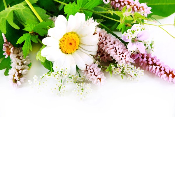 Пожелания с добрым утром четверг