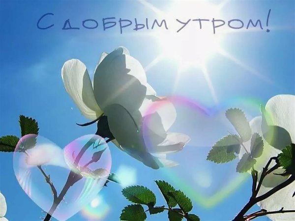 Красивые поздравления с добрым утром природа
