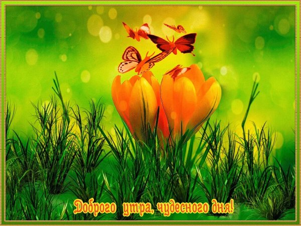 Радостного утра