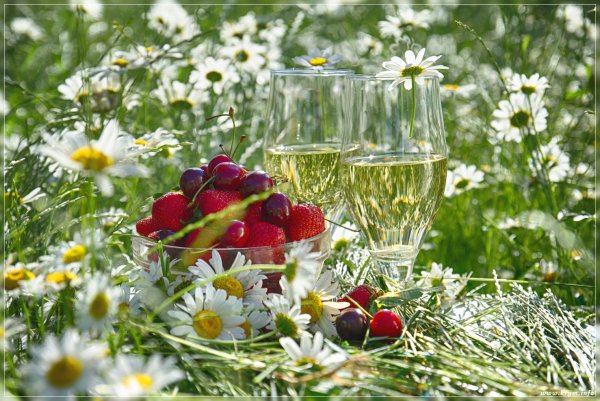 С добрым летним утром