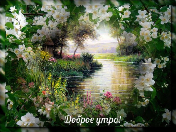 Доброго дня природа