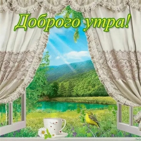 ДС добрым летним утром