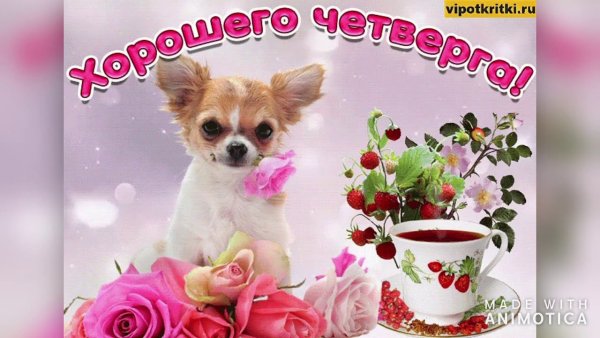 Открытки удачного четверга