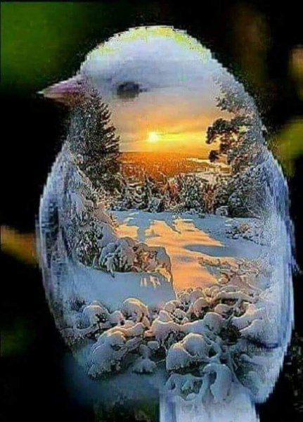 Спокойной летней ночи