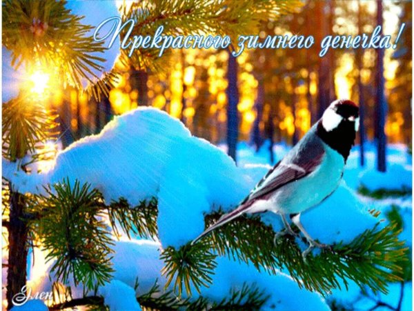 Чудесного зимнего денечка и прекрасного