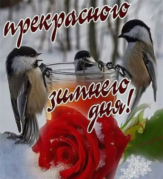Открытки с добрым зимним днем