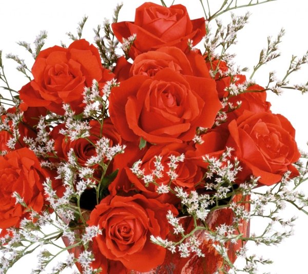 Сверкающие букеты цветов