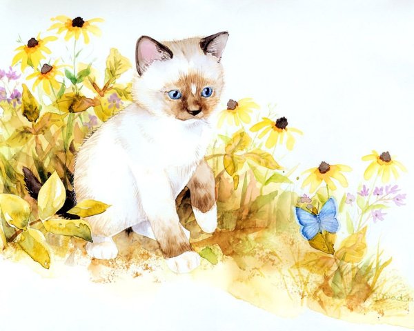 Кошка поздравляет