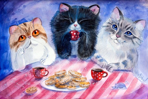 Коты Тани Самошкиной