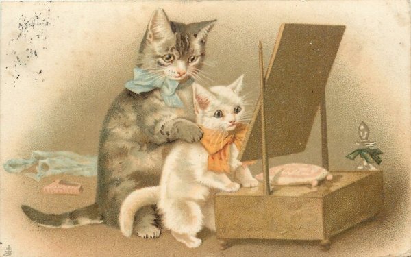 Котики Алексея Долотова