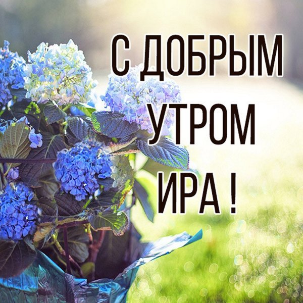 Открытки с добрым утром Ира