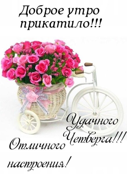 Доброе утро Ирина