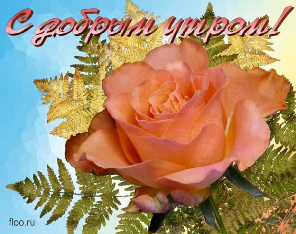 Открытки с добрым утром принцесса