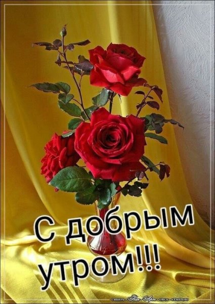 Пора вставать доброе утро