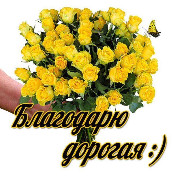 Спасибо моя дорогая