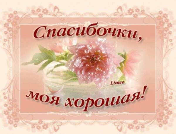 Открытка спасибочки моя хорошая
