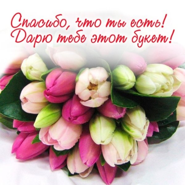 Спасибо дорогая подруга