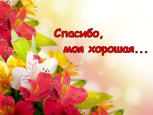 Спасибо за поздравления