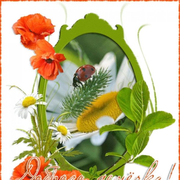 Летние открытки на каждый день