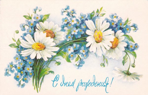С днём рождения ромашки