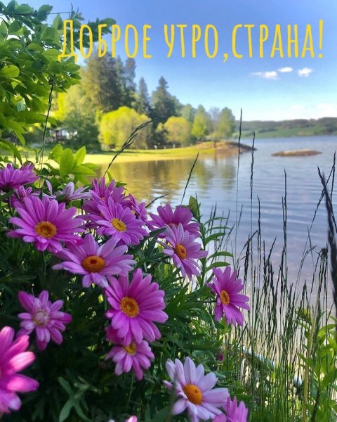 Красивого летнего дня