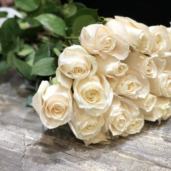 Огромный букет белых роз