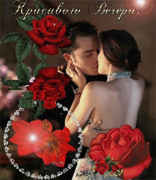 Цветы для любимой девушки