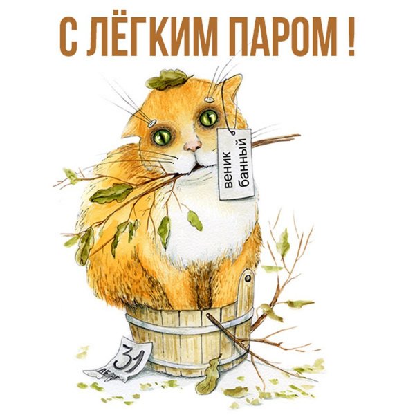 С легким паром прикольные